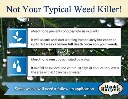 Liquid Harvest Mesotrione - 8oz - Mesotrione Concentrate (Compare to Tenacity) - Pre and Post-Emergent Weed Killer for Lawn and Turf Grasses