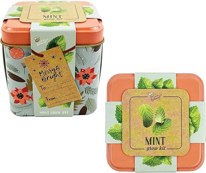 BUZZY Seeds Holiday Mint Square Tin 2-Pack Grow Kit Complete with Non-GMO Seeds and Growing Medium in Decorative Collectible Tins, Stocking Stuffer, Party Favors