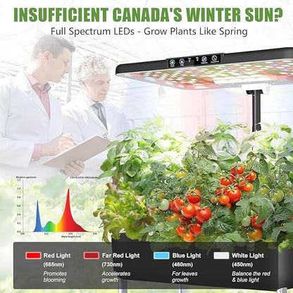 66-Pod Indoor Hydroponic Growing System + 3 Free Seeds Starter Kit (Lettuce, Salad Mixed, Basil Seeds) – Dual 53W Full-Spectrum LED, 10-L Water Tank, 3-Tier Grow Pods