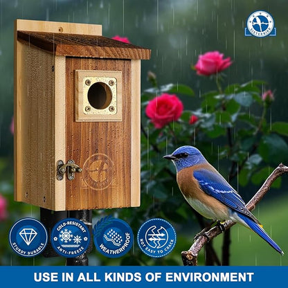 Pack of 2 Bluebird Houses for Outside, Premium Wooden Bird Houses for Outdoor, Weatherproof Blue Bird House, Bluebird Swallow Chickadee Wren, Assembly Required
