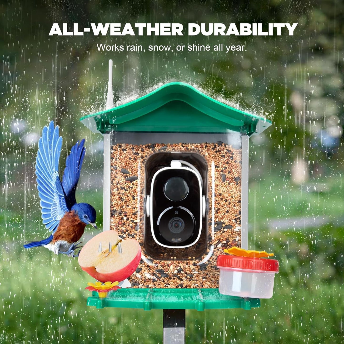 Smart Bird Feeder with Camera, 2K 3MP HD WiFi, AI Bird Species Recognition, Dual-Band 2.4G/5G WiFi, 2L Large Seed Container, IP65 Weatherproof, Solar Powered, Two-Way Audio