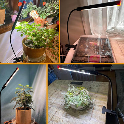 2Pack 9 Watt Clip Grow Lights for Indoor Plants with Timer, Mini Pot Plant Grow Light, Full Spectrum Small Bonsai Grow Light, Bright Enough Plant Growing Lamps