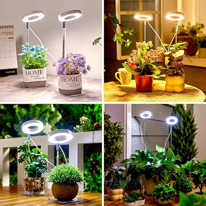 Brightown Plant Grow Light, LED Growing Light for Indoor Plants, 2 Pack 2-Head Adjustable Height Growing Lamp with Timer, 3 Dimmable Brightness Levels, Low Safe Voltage, Perfect for Small Plants
