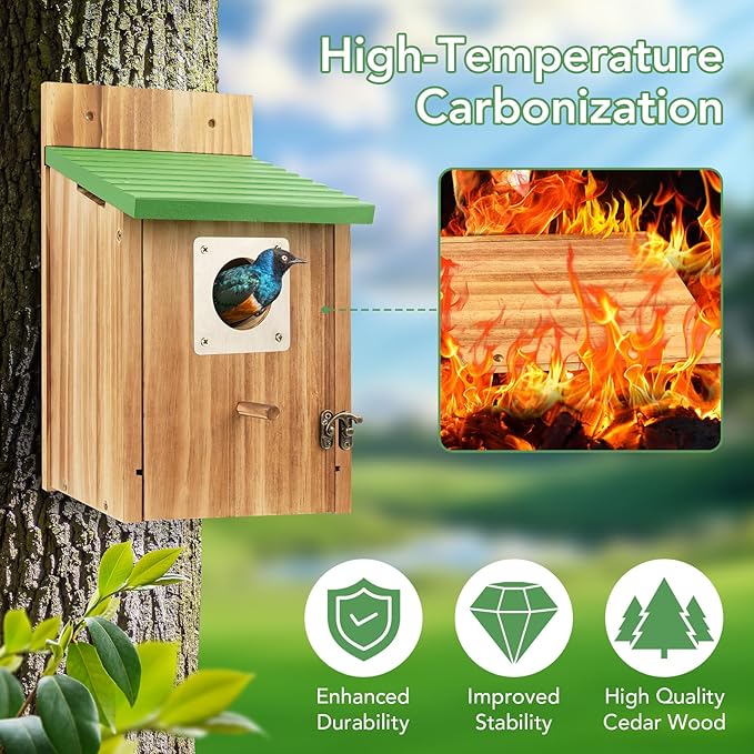 2 Pack Bird Houses for Outside - Cedar Bluebird Houses with Metal Predator Guard, Birdhouse for Wren Bluebirds Finches Swallows, Carbonized Wooden