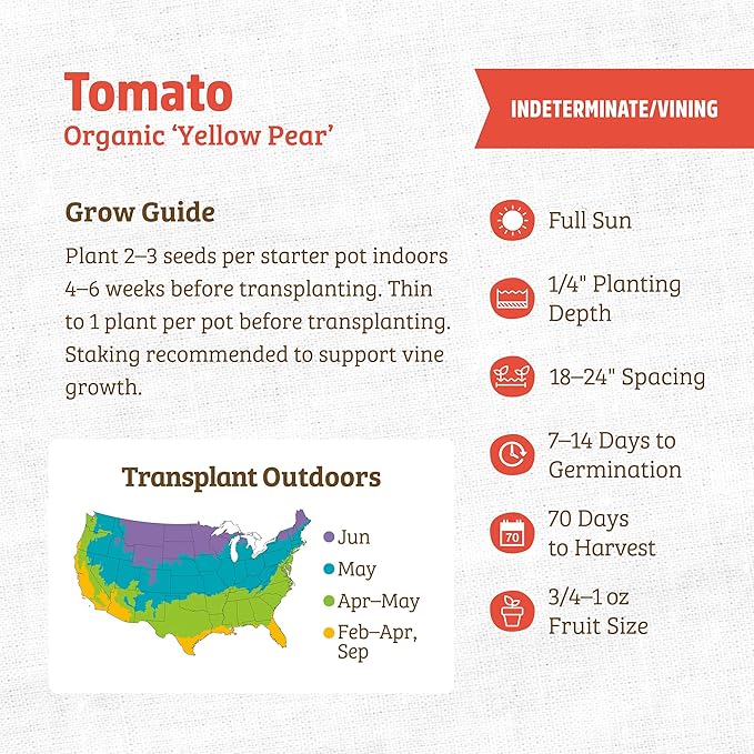 Back to The Roots 100% Organic Heirloom Seeds - Golden Pear Tomato Value Pack (200mg Total)