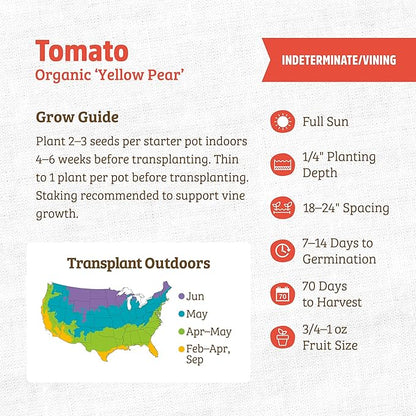 Back to The Roots 100% Organic Heirloom Seeds - Golden Pear Tomato Value Pack (200mg Total)