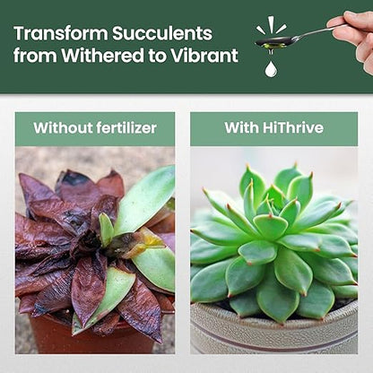 32oz Succulent Fertilizer - Makes 64 Gallons of Succulent Plant Food for Succulents Plants Live, Liquid Fertilizer for Succulents - Promotes Vibrant Leaves, Resilient Roots, and Plump Growth