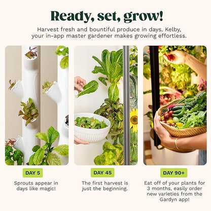 New & Improved! Gardyn Studio 2 Hydroponics Growing System - 16 Non-GMO Plants, Herbs, Vegetables - Smart Tower - Hydroponic Herb Garden Planter Indoor Kit - Indoor Gardening System w/Grow Lights