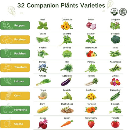 Lush&Dew Full Companion Plants Seed Bank, Gardening Gifts, 32 Varieties Non-GMO Heirloom Seeds for Planting Vegetables Herbs Flowers Fruits, Survival Seed Kit, Emergency Food Supplies