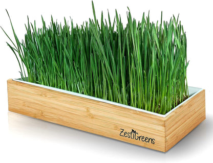 Organic Wheatgrass Growing Kit, Self Watering, with Soilless Grow Mats. The Easy Way to Grow & Juice Healthy Wheat Grass & Make Cat Grass. Bamboo Surround & Black Out Lid. (Organic Wheatgrass Kit)