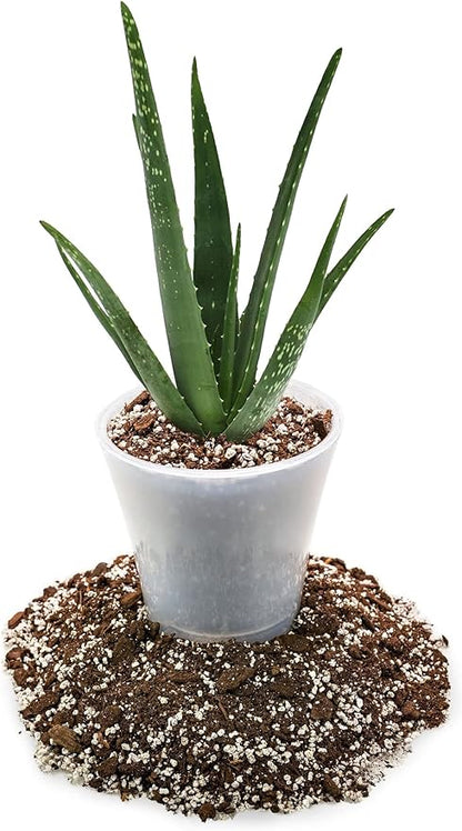 GARDENERA Premium Aloe Vera Potting Soil Mix - (2 Quart Bag)