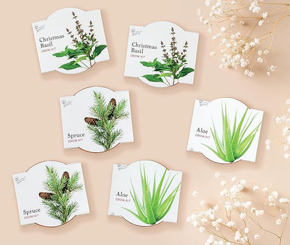 BUZZY Seeds Terracotta Mini Grow Pots | Herb, Plant, Flower Starter Kit for Kids & Adults | Assorted 6-Pack, Radiant Collection | Guaranteed to Grow | Best Indoor Grow Your Own Plant Gardening Gift