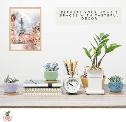 3 inch Ceramic pots for Plants, Small Succulent Pots Set with Drainage, 6 Pack Flower Pot for Indoor Plant, Planters for Little or mini Cactus 2 inches Plants