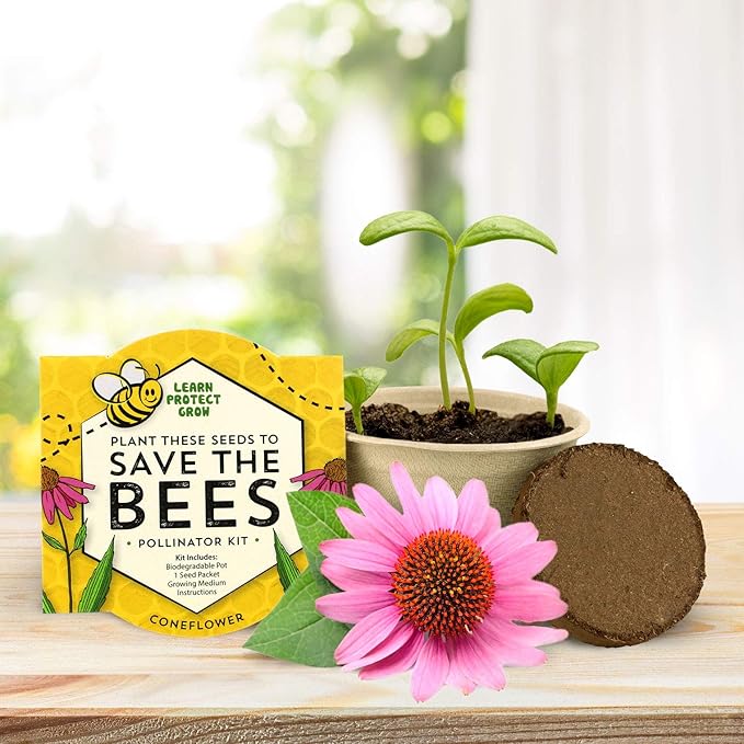 Buzzy Seeds Save The Bees Biodegradable Grow Kit | Herb, Plant, Flower Starter Kit for Kids & Adults | Assorted Wildflowers 12-Pack | Guaranteed to Grow | Best Indoor Grow Your Own Plant