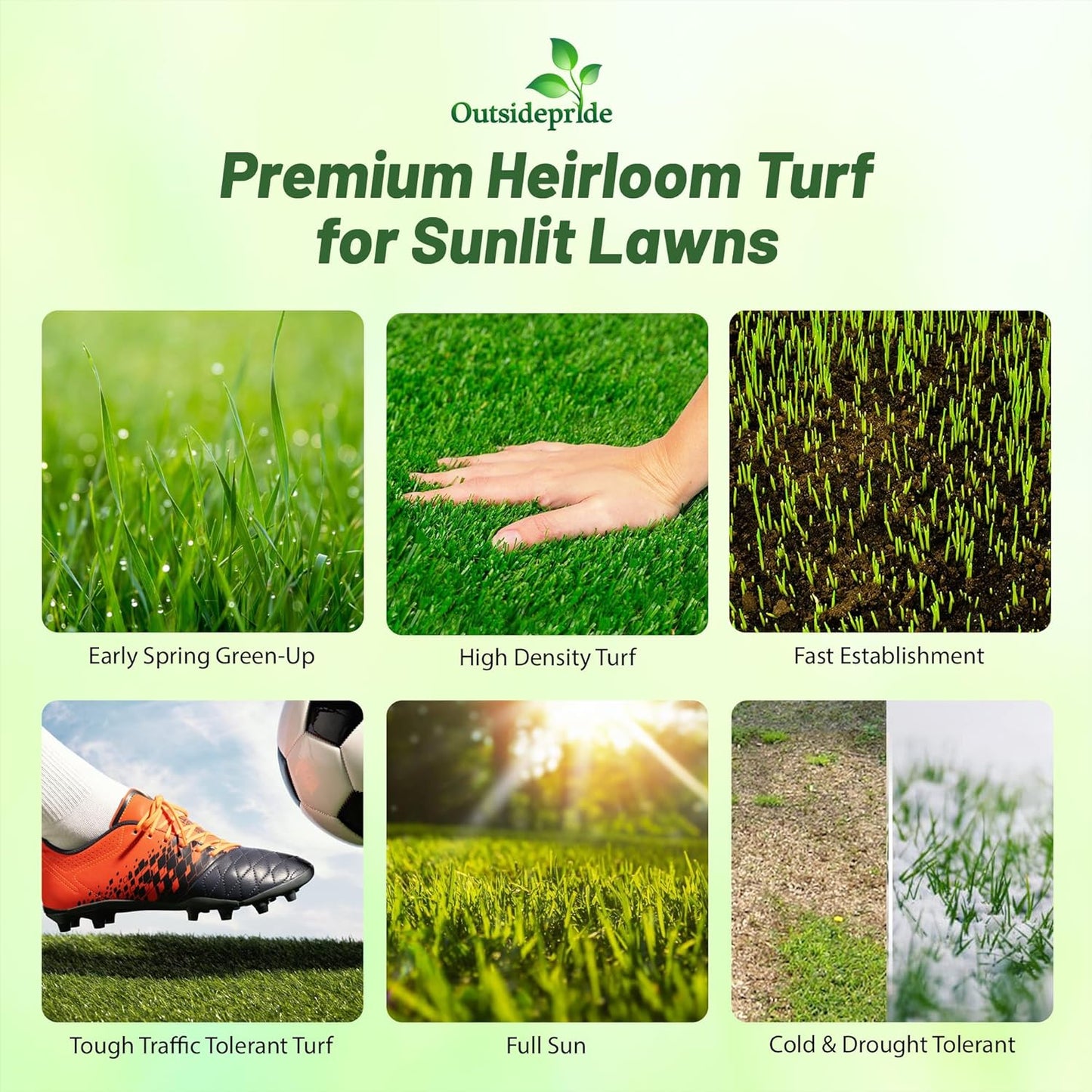 Outsidepride Full House Bermuda Grass Seed Mix - 2 lbs. Premium Warm Season Turf Blend of Traffic & Drought-Tolerant Monaco & Hollywood Bermuda Grass Seeds for Lawn, Golf Courses & Fairways