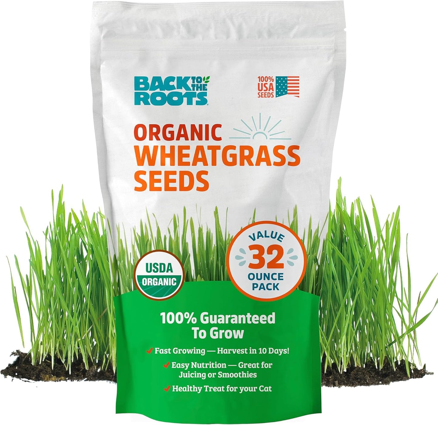 Back to the Roots Organic Wheatgrass Seeds – 2lb Non-GMO Value Pack; Great for Growing Nutritious Wheatgrass, Also Catgrass (Natural Hairball Remedy for Cats)