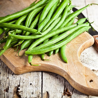 Back to The Roots 100% Organic Heirloom Seeds - Snap Bean Value Pack (16.8g Total)