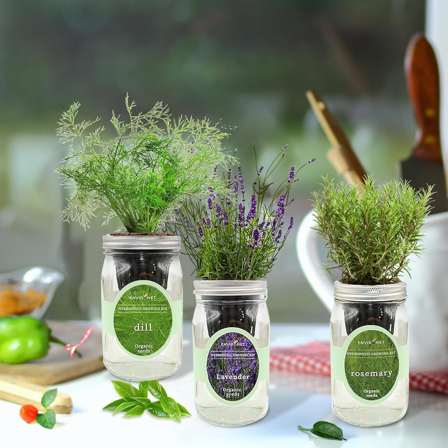 Hydroponic Herb Growing Kit Set, Self-Watering Mason Jar Herb Garden Starter Kit Indoor, Grow Your Own Herbs from Seeds (Dill, Lavender & Rosemary)