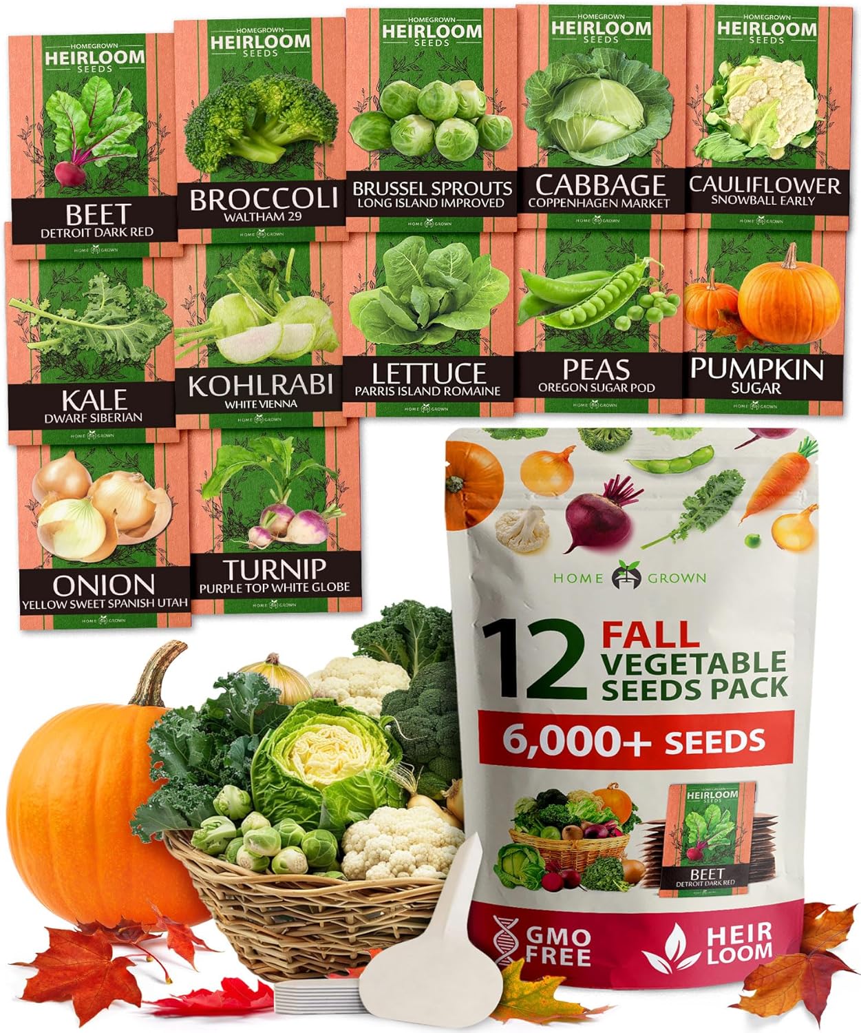 HOME GROWN 12 Fall Vegetable Seeds 6,000+ 𝗨𝗦𝗔 Heirloom 𝗡𝗢𝗡-𝗚𝗠𝗢 Seeds for Fall & Winter Planting – Beets, Broccoli, Cabbage, Kale, Onion, Pumpkin, Turnip, Lettuce, Peas & More for Home Garden