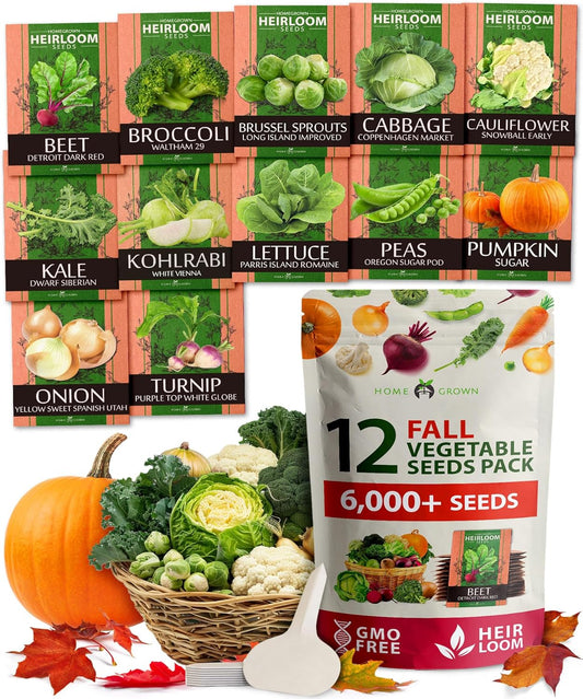HOME GROWN 12 Fall Vegetable Seeds 6,000+ 𝗨𝗦𝗔 Heirloom 𝗡𝗢𝗡-𝗚𝗠𝗢 Seeds for Fall & Winter Planting – Beets, Broccoli, Cabbage, Kale, Onion, Pumpkin, Turnip, Lettuce, Peas & More for Home Garden