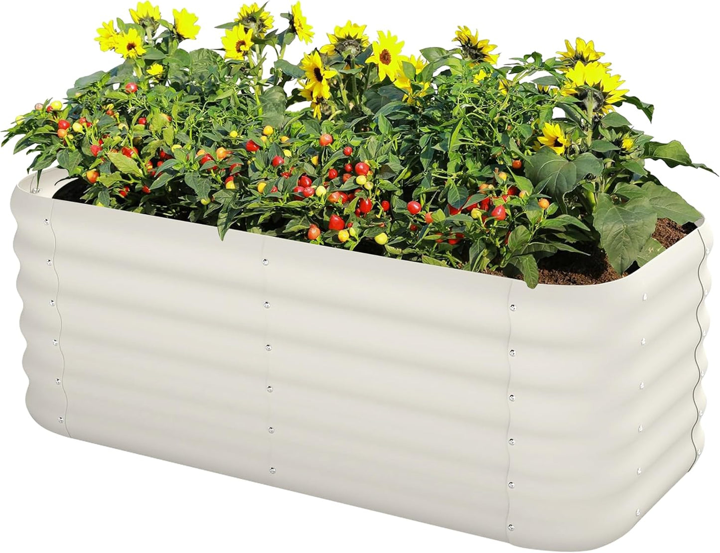 DDK Galvanized Raised Garden Bed, Outdoor Planter Bed, 4x2x1.5ft Metal Planter Box for Gardening and Planting,MW