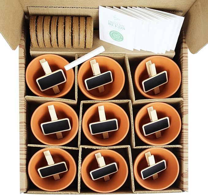 BUZZY Seeds 9 Pot Terracotta Grow Kit Organic Herb Seed Starter Set for Indoor Planting | Includes Seeds, Planting Pots, Soil and Plant Markers, Easy Gardening Gift, Kids Project, Gifts for Teachers