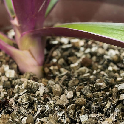 Gardenera Premium Zamioculcas Plant Potting Mix - Crafted for Resilient Growth and Striking Elegance - 1 Quart