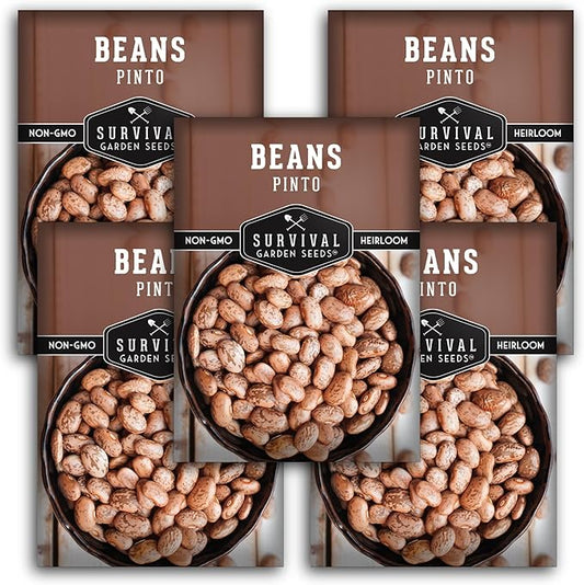 Pinto Bean Seeds for Planting - 5 Packets with Instructions for Growing Mottled/Peruano Beans in The Home Vegetable Garden - Non-GMO Open-Pollinated Heirloom & Untreated - Survival Garden Seeds