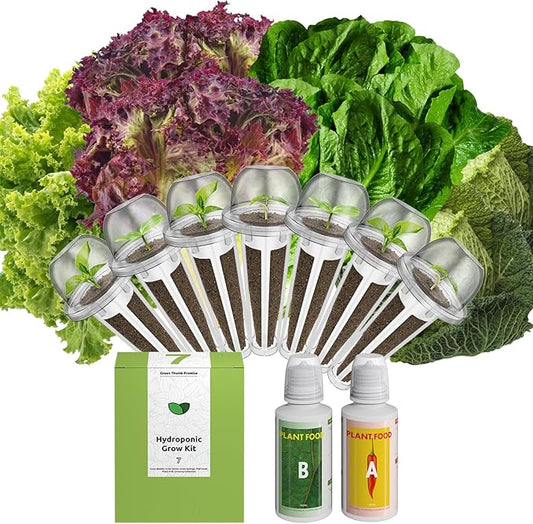 inbloom Salad Romaine Lettuce Seed Pod Kit for AeroGarden, Ahopegarden Hydroponics Growing System, 7-Pods (350+ Seeds, Include American Fast Lettuce, Parris Island Lettuce, Butter Lettuce)
