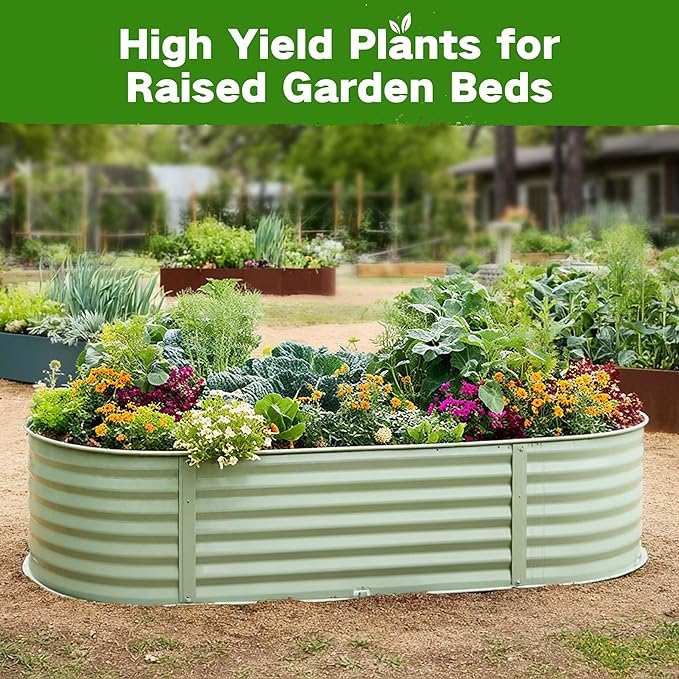 Lush&Dew Raised Garden Bed Heirloom Seed Bank, 32 Varieties 30,000+ Non-GMO Fall Winter Garden Seeds of Vegetables Herbs Fruits, Gardening Gifts for Women Men, Survival Seed Kit Emergency Supplies