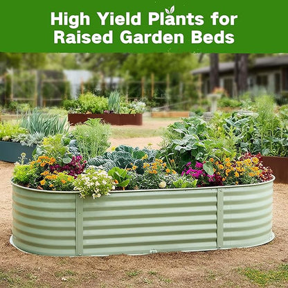 Lush&Dew Raised Garden Bed Heirloom Seed Bank, 32 Varieties 30,000+ Non-GMO Fall Winter Garden Seeds of Vegetables Herbs Fruits, Gardening Gifts for Women Men, Survival Seed Kit Emergency Supplies