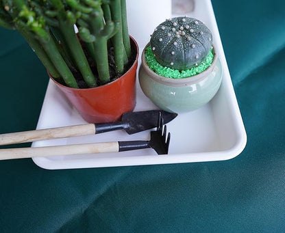 2 Pack Plastic Plant Saucer, Rectangular, Indoors Outdoor, Water Drip Tray for Planter, Windowsill (6 X 11 Inch, Creamy White)