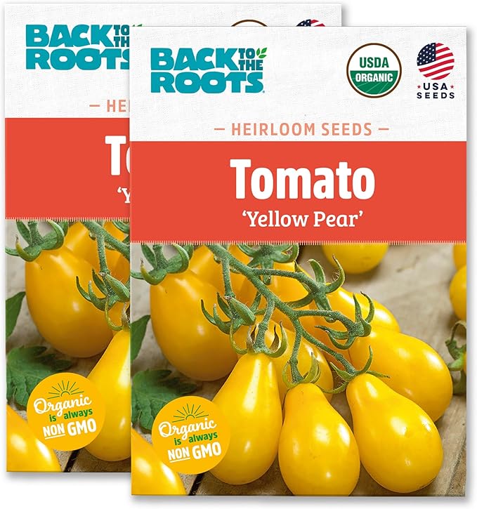 Back to The Roots 100% Organic Heirloom Seeds - Golden Pear Tomato Value Pack (200mg Total)