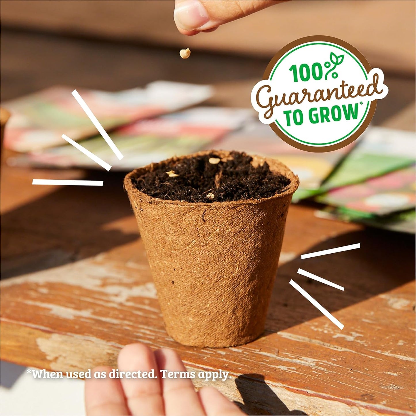 Back to the Roots 100% Organic Seed Packets Cilantro 'Slow Bolting' (Pack of 2)