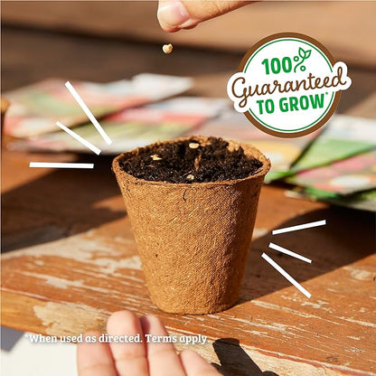 Back to the Roots 100% Organic Seed Packets Jalapeno (Pack of 2)