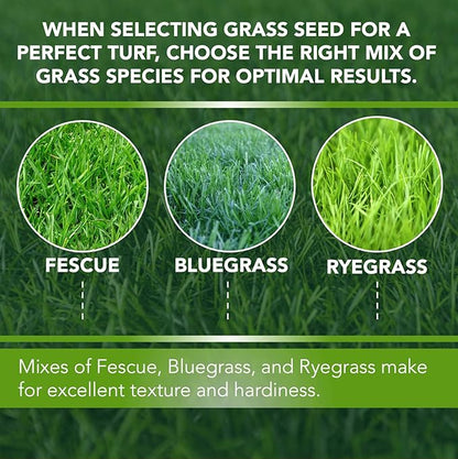 Athletic Field Grass Seed Lawn Seed (5 lb)