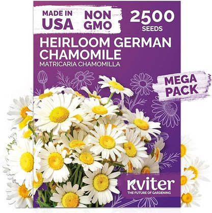KVITER 2,500 German Chamomile Seeds for Planting (Matricaria Chamomilla/Recutita) – Heirloom & Non-Gmo Medicinal Herb Seeds, Flowers for Remedies & Chamomile Tea Organic – Indoors/Outdoors Herb Garden