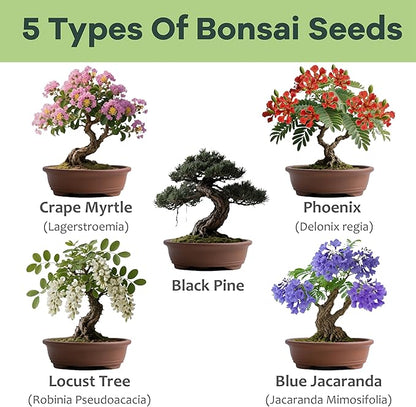 Bonsai Tree Kit for Beginners - Unique DIY Japanese Bonsai Trees,Crafts for Adults, Ideal Gardening Birthday Gift for Women & Men,Complete Indoor Plant Kit