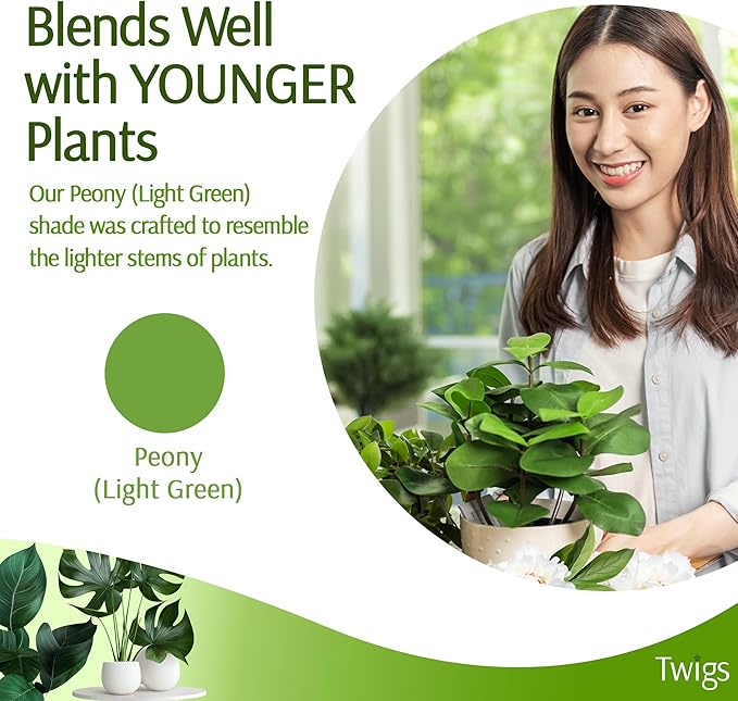 Plant Support Stakes, Stem Holder Structures for Indoor & Outdoor Use, Garden Accessories for Climbing & Potted Plants, Trellis Alternative - Peony (Light Green), 10 Pack, 22" L, Original