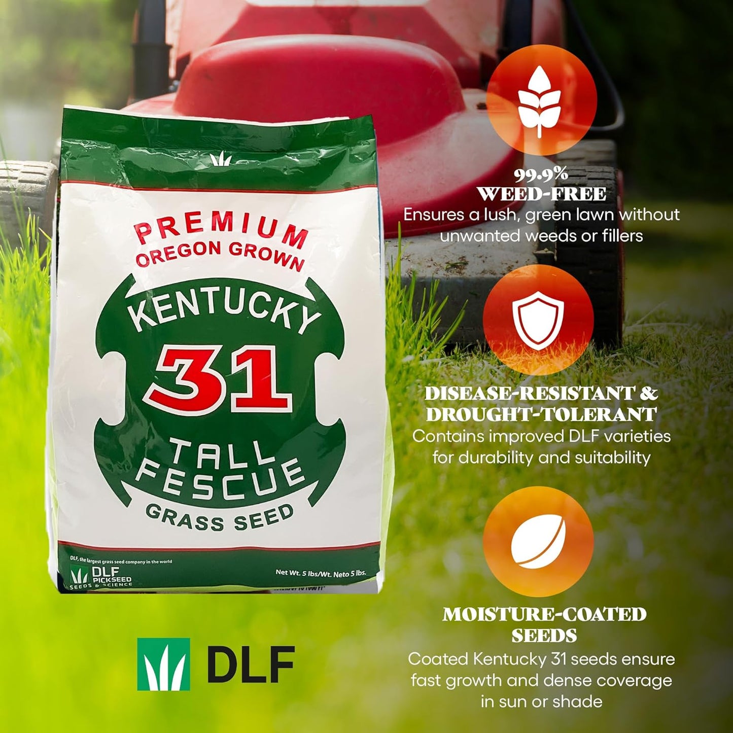 X-Seed Oregon Grown Kentucky 31 Tall Fescue Grass Seed for Sun and Shade Drought-Resistant Lawn for High Traffic, Forage & Turf Grass – Designed for Extreme Durability & Retaining Moisture – 5 lb Bag