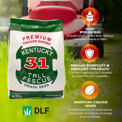 X-Seed Oregon Grown Kentucky 31 Tall Fescue Grass Seed for Sun and Shade Drought-Resistant Lawn for High Traffic, Forage & Turf Grass – Designed for Extreme Durability & Retaining Moisture – 5 lb Bag