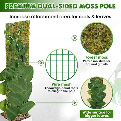 DUSPRO Flat Mesh Moss Poles for Climbing Plants Monstera Stackable Moss Pole for Plants with Real Moss Moss Plant Pole for Potted Plants Handmade Moss Stick for Indoor Plants Grow Upward 2 Pack 22”