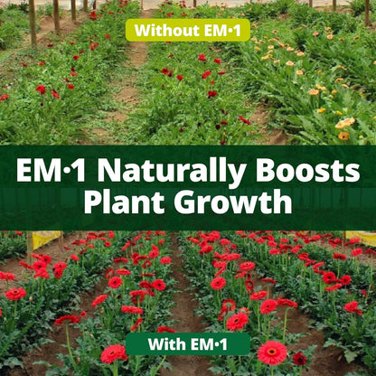 TeraGanix EM-1 Soil Conditioner (1 Btl = 32 Gal), Microbial Inoculant Concentrate, Plant Growth, Root Enhancer, Liquid Probiotic for Soils & Plants, Seed Germination, Gardening, Lawn Care (32 fl oz)