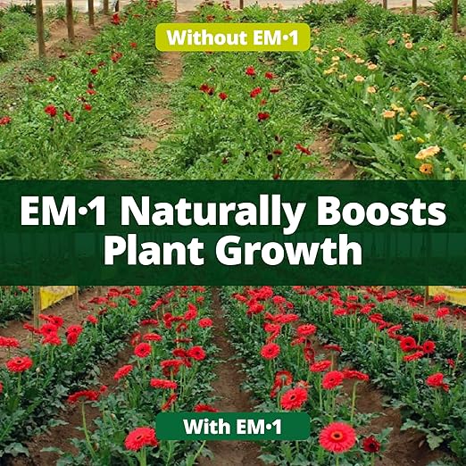 TeraGanix EM-1 Soil Conditioner (1 Btl = 16 Gal), Microbial Inoculant Concentrate, Plant Growth, Root Enhancer, Liquid Probiotic for Soils & Plants, Seed Germination, Garden, Lawn Care (16 fl oz)