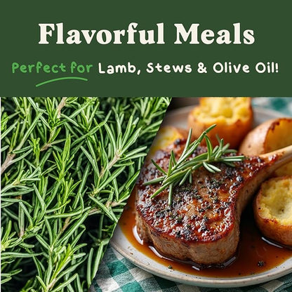 Seedboy Organic Rosemary Seeds for Planting Indoor and Outdoor, Non-GMO and USDA Certified Herb Seed Packet for Hydroponic Garden Indoor or Planting Outdoors (Rosemary)