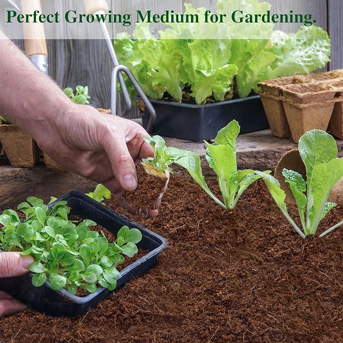 ZeeDix 10 Pack Coconut Coir Bricks, 100% Organic Compressed Coco Coir Brick Seed Starter Potting Soil for Plants, Premium Coconut Fiber Substrate with Low EC & pH Balance for Gardening Flower Herbs