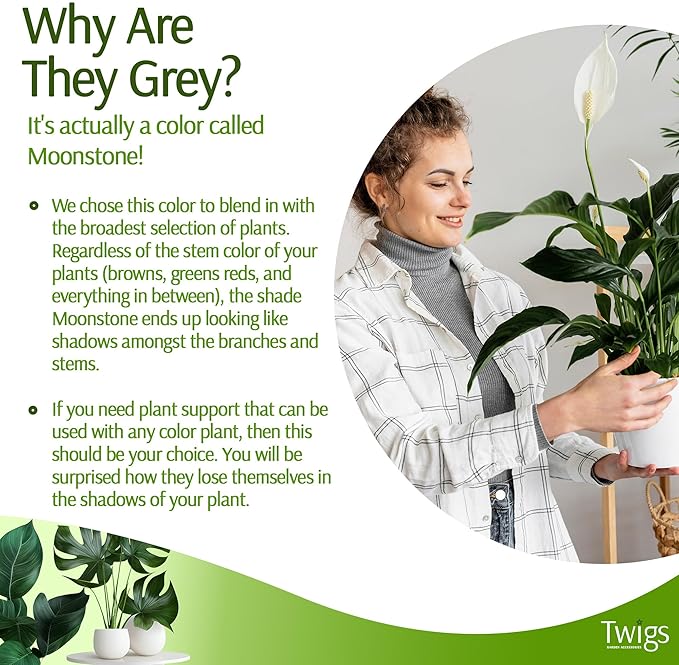 Twigs - Plant Support Stakes for Indoor, Outdoor & Climbing Plants, Gardening Supplies, Garden Accessories, Trellis & Ring Alternative, Made in USA - Moonstone, 10 Pack, 12" L, Mini Twigs