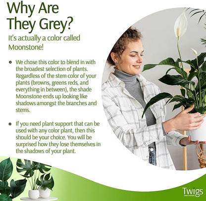 Twigs - Plant Support Stakes for Indoor, Outdoor & Climbing Plants, Gardening Supplies, Garden Accessories, Trellis & Ring Alternative, Made in USA - Moonstone, 10 Pack, 12" L, Mini Twigs