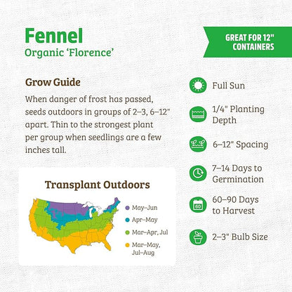 Back to The Roots 100% Organic Heirloom Seeds - Fennel Value Pack (800mg Total)