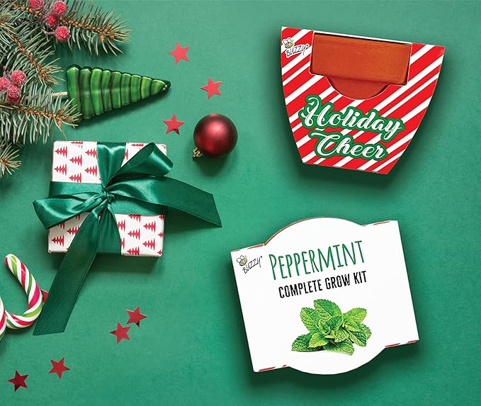 BUZZY Seeds Holiday Candy Cane Mini Terracotta Grow Pots, 6-Pack Peppermint Seeds, Indoor Plant Starter Kit, Stocking Stuffers, Party Favors Adults, for Kids
